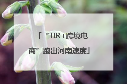 “TIR+跨境电商”跑出河南速度