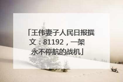 王伟妻子人民日报撰文：81192，一架永不停航的战机