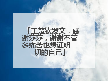 王楚钦发文：感谢莎莎，谢谢不管多痛苦也想证明一切的自己