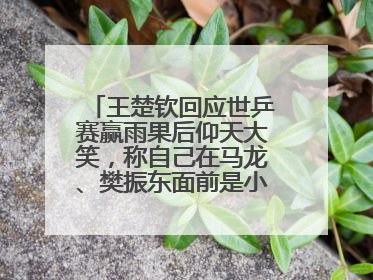 王楚钦回应世乒赛赢雨果后仰天大笑，称自己在马龙、樊振东面前是小孩，巴黎奥运被孙颖莎带着打