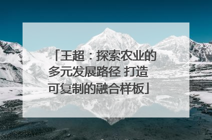 王超：探索农业的多元发展路径 打造可复制的融合样板