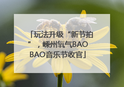 玩法升级“新节拍”，嵊州氧气BAOBAO音乐节收官