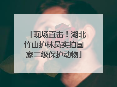 现场直击！湖北竹山护林员实拍国家二级保护动物