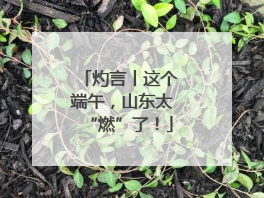 灼言丨这个端午，山东太“燃”了！