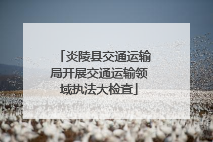 炎陵县交通运输局开展交通运输领域执法大检查