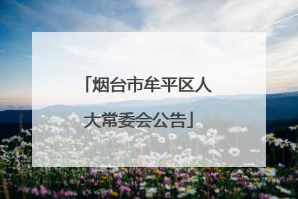 烟台市牟平区人大常委会公告