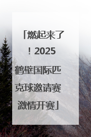 燃起来了！2025鹤壁国际匹克球邀请赛激情开赛