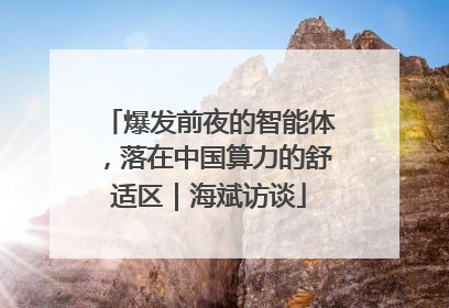 爆发前夜的智能体，落在中国算力的舒适区｜海斌访谈