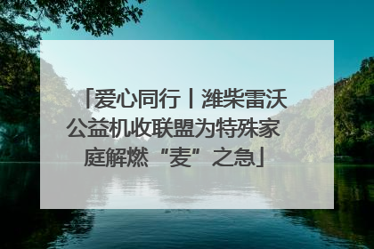 爱心同行丨潍柴雷沃公益机收联盟为特殊家庭解燃“麦”之急