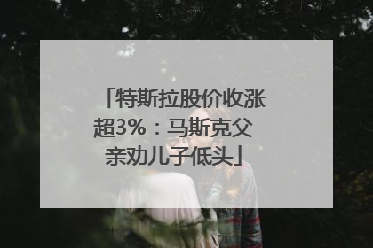 特斯拉股价收涨超3%：马斯克父亲劝儿子低头