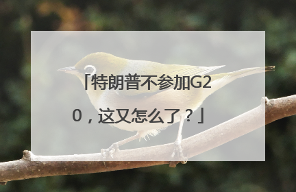 特朗普不参加G20，这又怎么了？