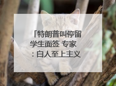 特朗普叫停留学生面签 专家：白人至上主义者的种族构成忧虑｜封面头条