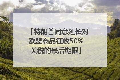 特朗普同意延长对欧盟商品征收50%关税的最后期限