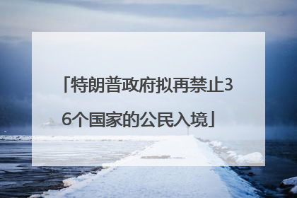 特朗普政府拟再禁止36个国家的公民入境