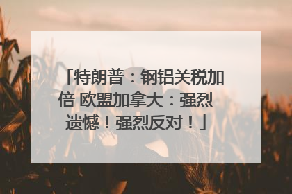 特朗普：钢铝关税加倍 欧盟加拿大：强烈遗憾！强烈反对！