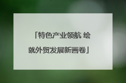 特色产业领航 绘就外贸发展新画卷