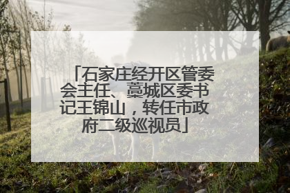 石家庄经开区管委会主任、藁城区委书记王锦山，转任市政府二级巡视员