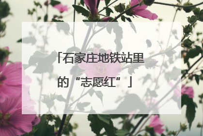 石家庄地铁站里的“志愿红”