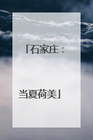 石家庄：当夏荷美