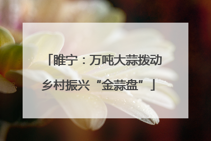 睢宁：万吨大蒜拨动乡村振兴“金蒜盘”