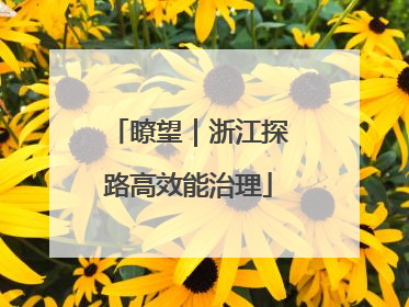 瞭望｜浙江探路高效能治理