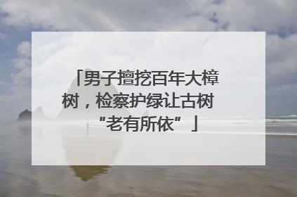 男子擅挖百年大樟树，检察护绿让古树“老有所依”