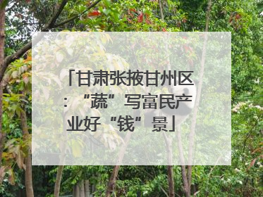 甘肃张掖甘州区：“蔬”写富民产业好“钱”景