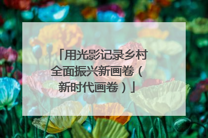 用光影记录乡村全面振兴新画卷（新时代画卷）