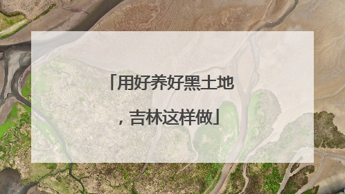 用好养好黑土地，吉林这样做