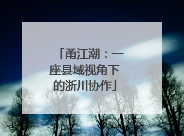 甬江潮：一座县域视角下的浙川协作