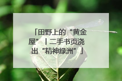 田野上的“黄金屋”丨二手书页浇出“精神绿洲”