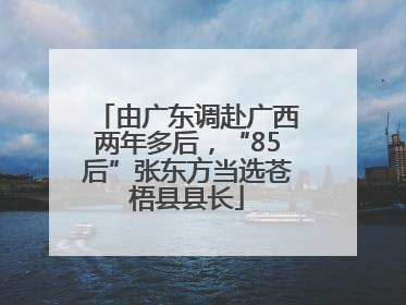 由广东调赴广西两年多后，“85后”张东方当选苍梧县县长