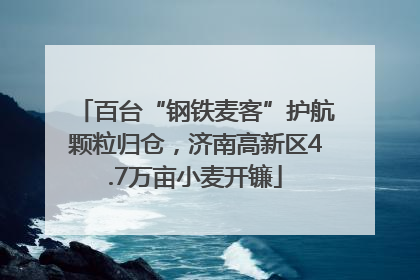 百台“钢铁麦客”护航颗粒归仓，济南高新区4.7万亩小麦开镰