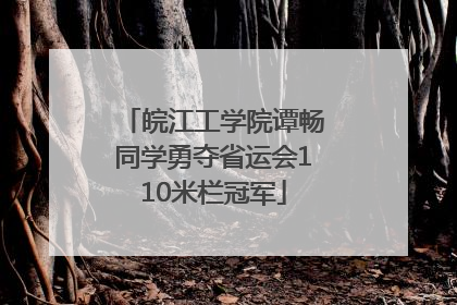 皖江工学院谭畅同学勇夺省运会110米栏冠军