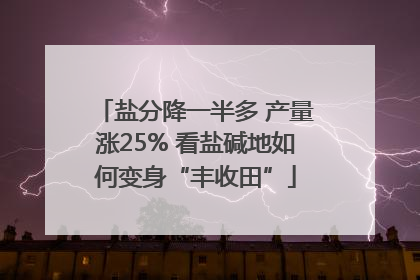 盐分降一半多 产量涨25% 看盐碱地如何变身“丰收田”
