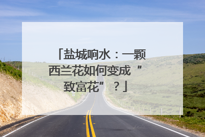 盐城响水：一颗西兰花如何变成“致富花”？