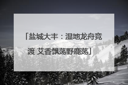 盐城大丰：湿地龙舟竞渡 艾香飘荡野鹿荡