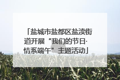 盐城市盐都区盐渎街道开展“我们的节日·情系端午”主题活动