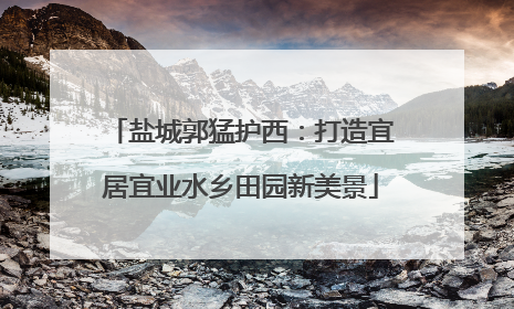 盐城郭猛护西：打造宜居宜业水乡田园新美景