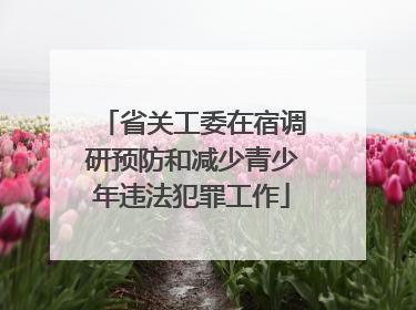 省关工委在宿调研预防和减少青少年违法犯罪工作