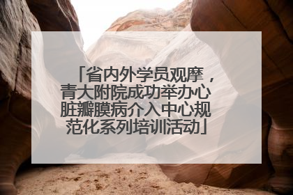 省内外学员观摩，青大附院成功举办心脏瓣膜病介入中心规范化系列培训活动