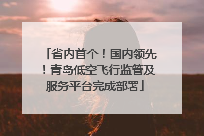 省内首个！国内领先！青岛低空飞行监管及服务平台完成部署