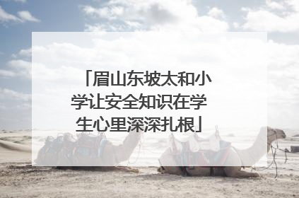 眉山东坡太和小学让安全知识在学生心里深深扎根