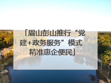 眉山彭山推行“党建+政务服务”模式 精准惠企便民