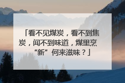 看不见煤炭，看不到焦炭，闻不到味道，煤里烹“新”何来滋味？
