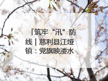 筑牢“汛”防线｜慈利县江垭镇：党旗映溇水 清淤见担当