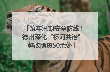 筑牢汛期安全防线！德州深化“桥河共治”整改隐患50余处