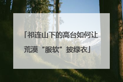 祁连山下的高台如何让荒漠“服软”披绿衣