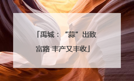 禹城：“蒜”出致富路 丰产又丰收