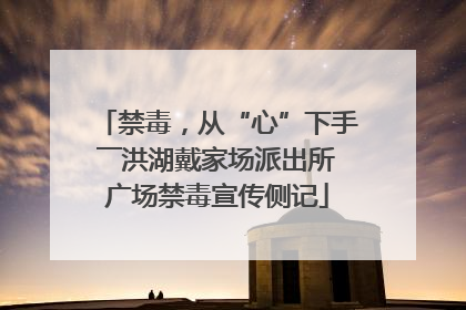 禁毒，从“心”下手――洪湖戴家场派出所广场禁毒宣传侧记